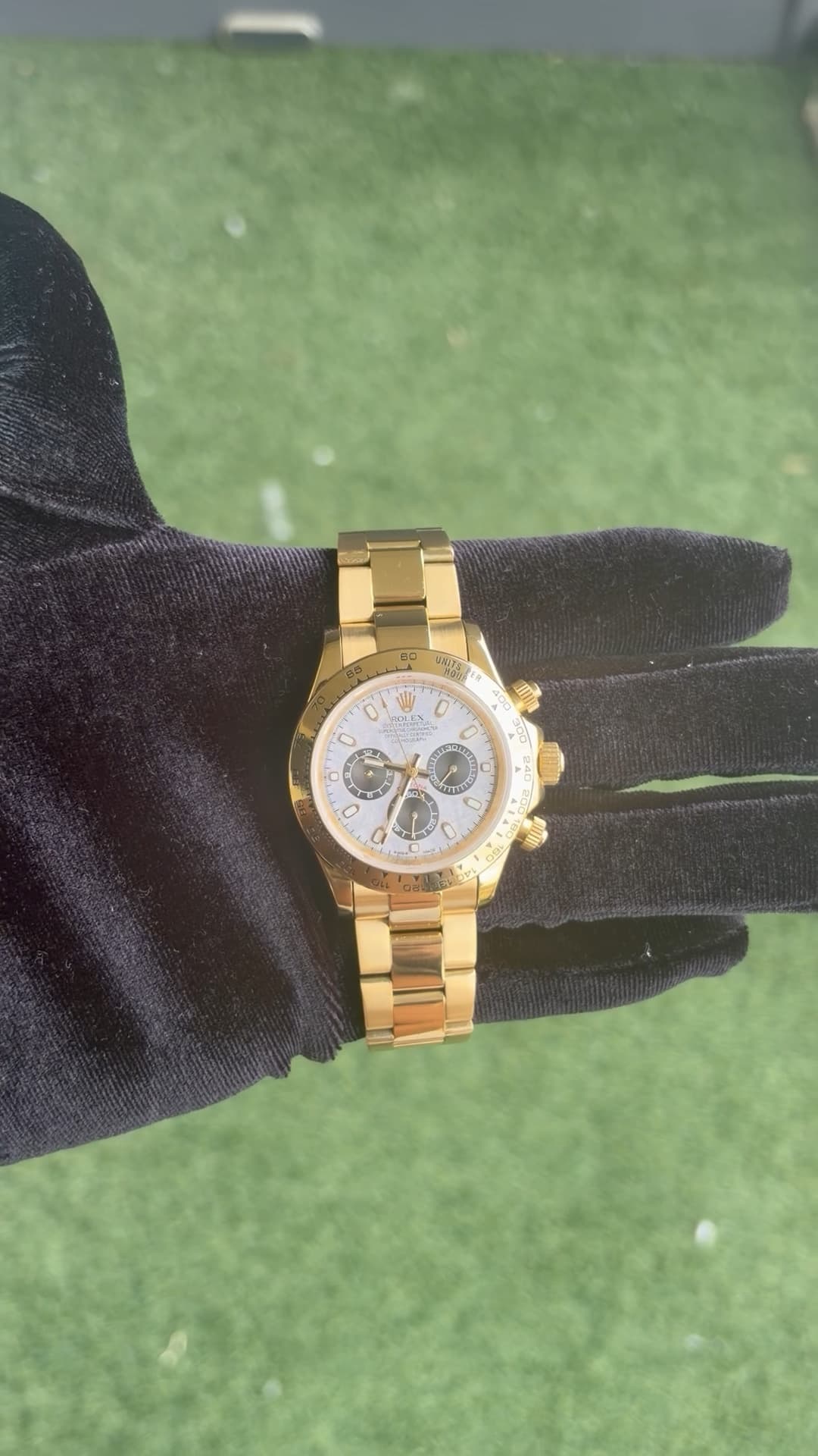 Meteorite Daytona - Oyster